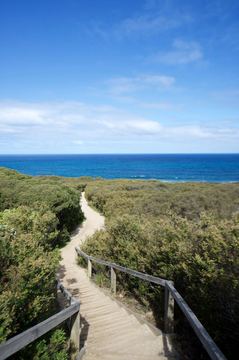 Conservation - Great Ocean Road Coast Committee